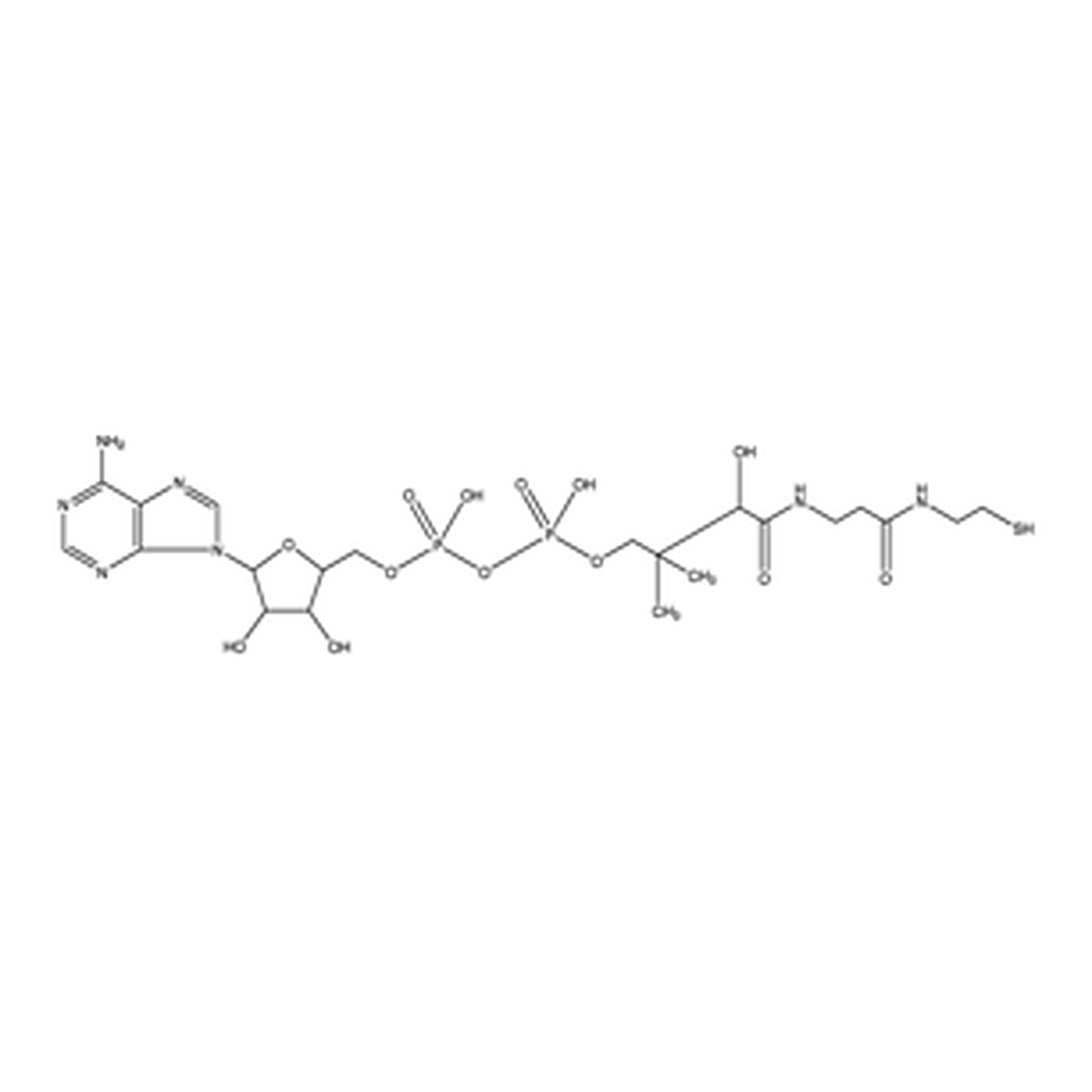 Merck 3′-Dephosphocoenzyme A