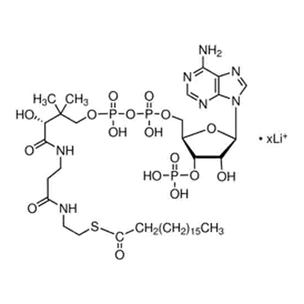 Merck Stearoyl coenzyme A lithium salt