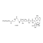 Merck Hexanoyl coenzyme A trilithium salt hydrate