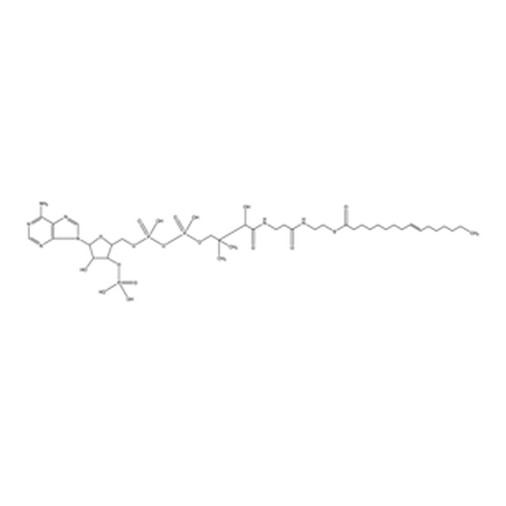 Merck Palmitoleoyl coenzyme A lithium salt