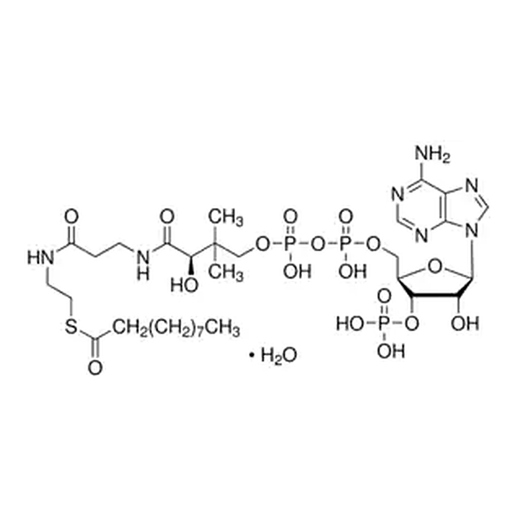 Merck Decanoyl coenzyme A monohydrate