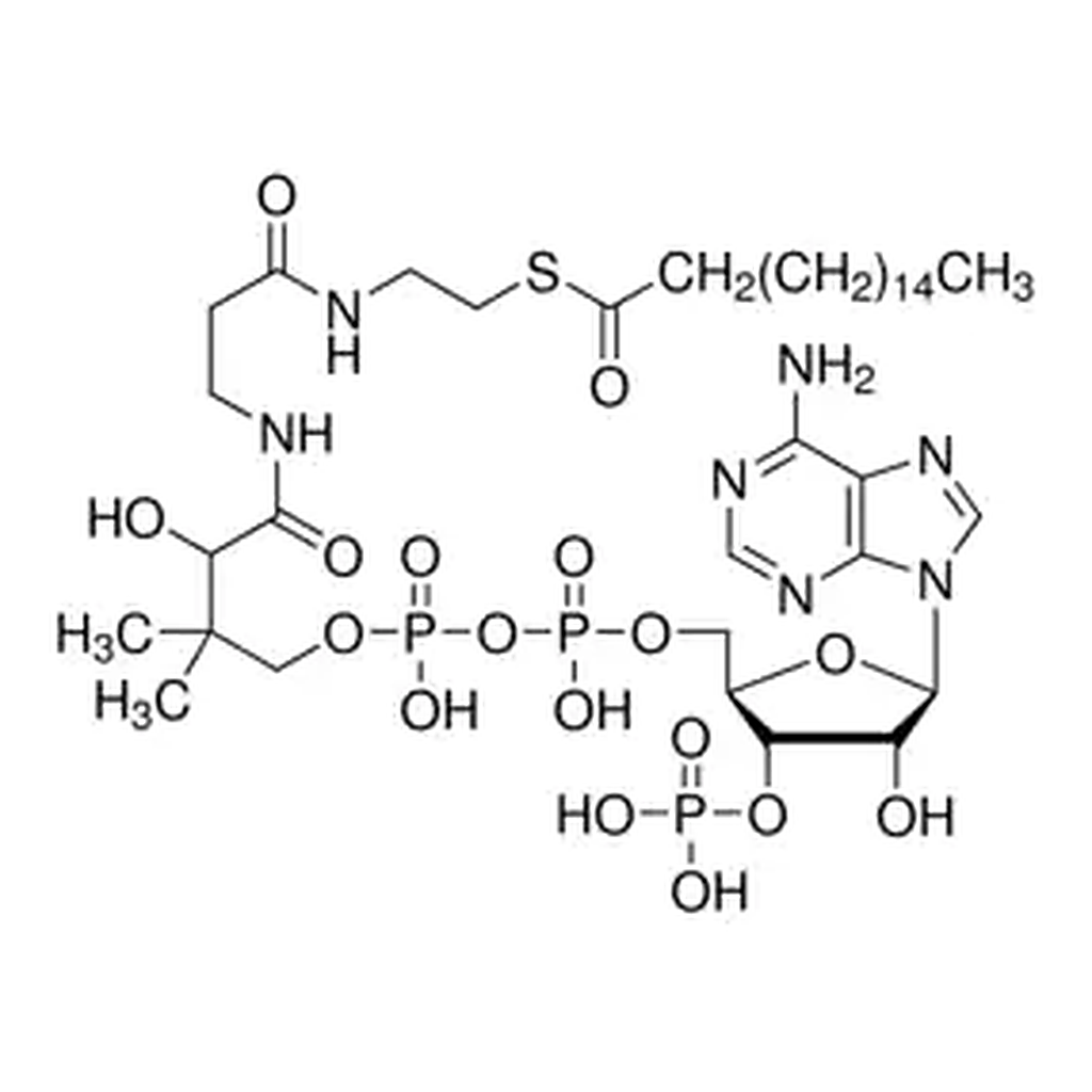 Merck n-Heptadecanoyl coenzyme A lithium salt