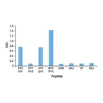 Merck Anti-Neuropeptide Y (NPY) antibody produced in rabbit