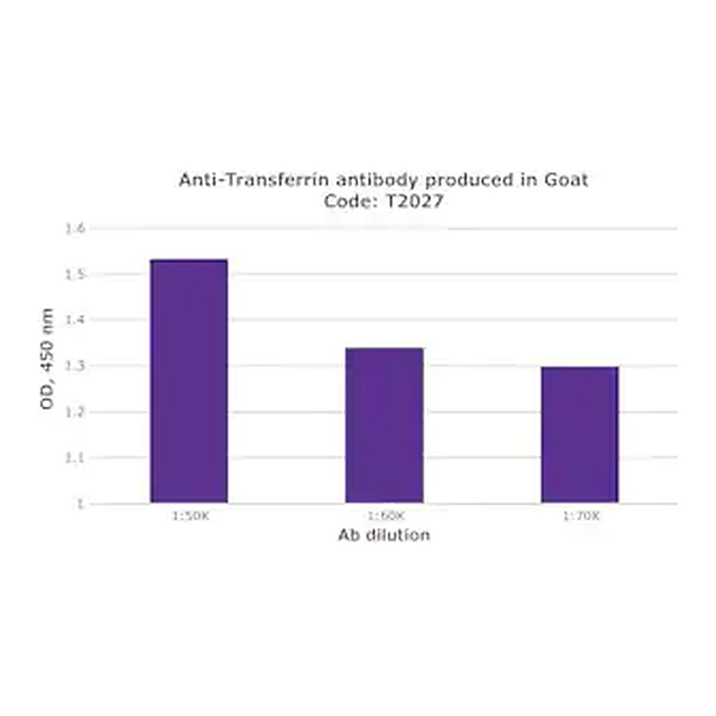 Merck Anti-Transferrin antibody produced in goat