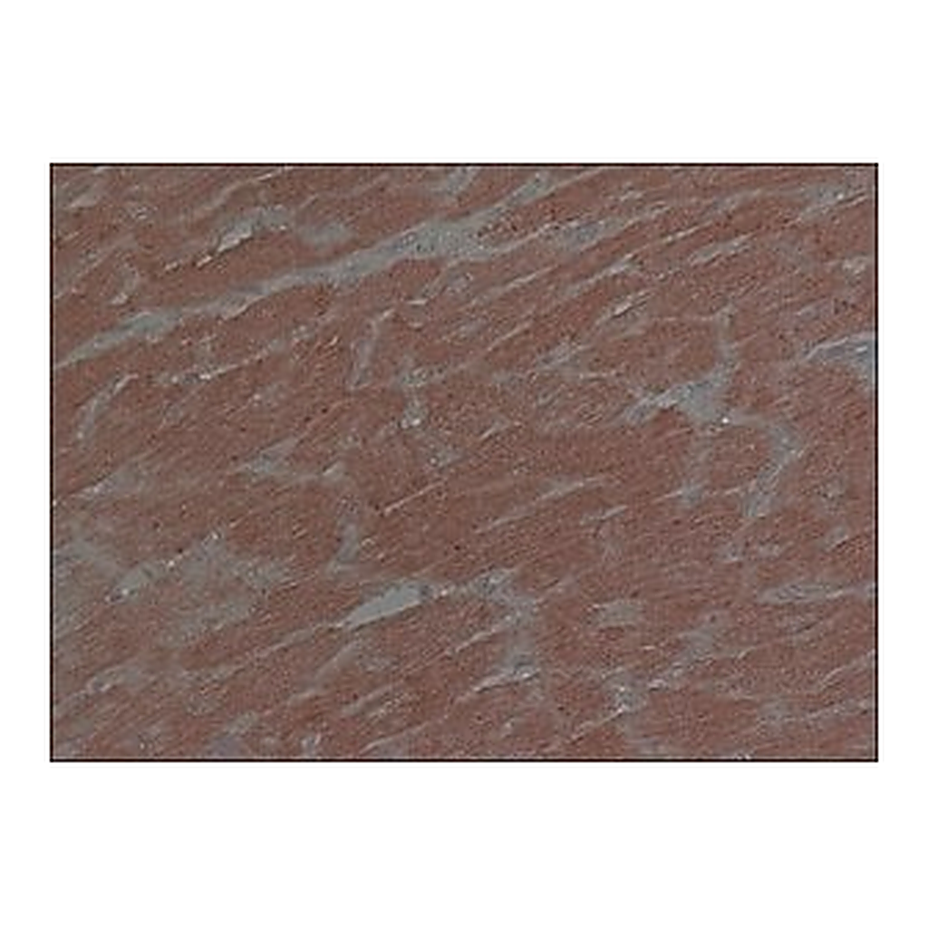 Merck Anti-Connexin 43 antibody, Mouse monoclonal