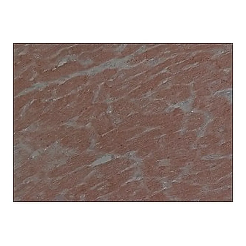 Merck Anti-Connexin 43 antibody, Mouse monoclonal