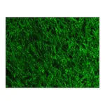 Merck Anti- Neurofilament 200-FITC antibody, Mouse monoclonal