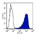 Merck Anti-Thy-1.1 Antibody, clone OX-7