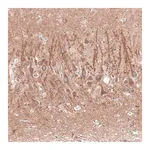 Merck Anti-CACNA1H antibody produced in rabbit