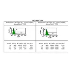 Merck Anti-Na+/K+ ATPase α-1 Antibody, clone C464.6, Alexa Fluor 555