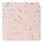 Merck Monoclonal Anti-CUX1 antibody produced in mouse