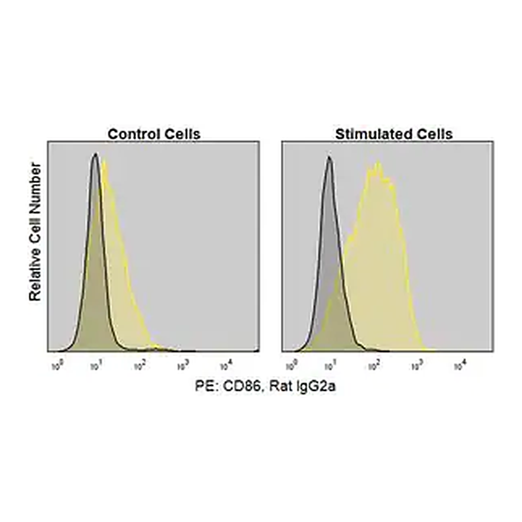 Merck Anti-Mouse CD86/B7-2 (GL-1) ColorWheel Dye-Ready mAb
