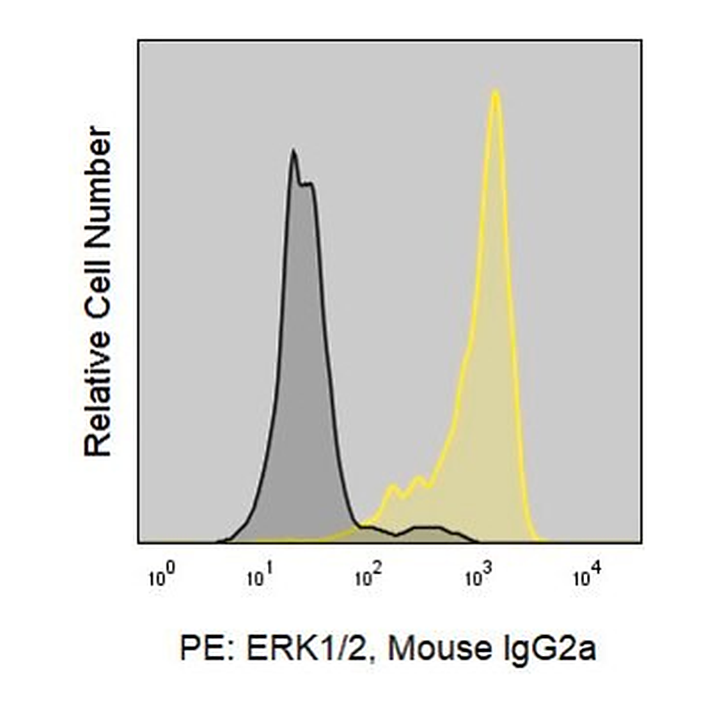 Merck Anti-Human ERK1/ERK2 (SB46b) ColorWheel Dye-Ready mAb