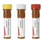 Merck Mouse IgG2b Isotype Control (MPC-11) ColorWheel Dye-Ready mAb