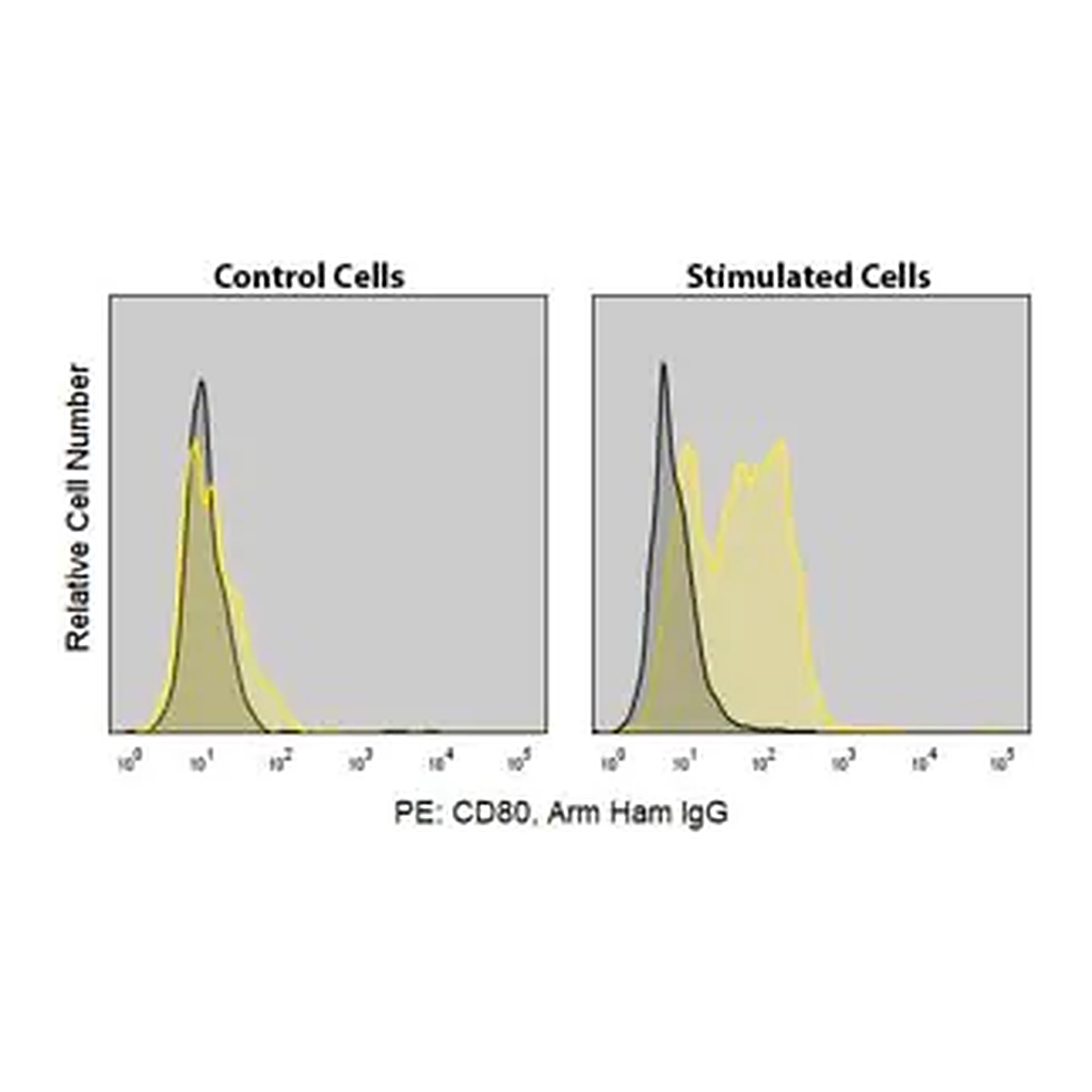 Merck Anti-Mouse CD80 (16-10A1) ColorWheel Dye-Ready mAb