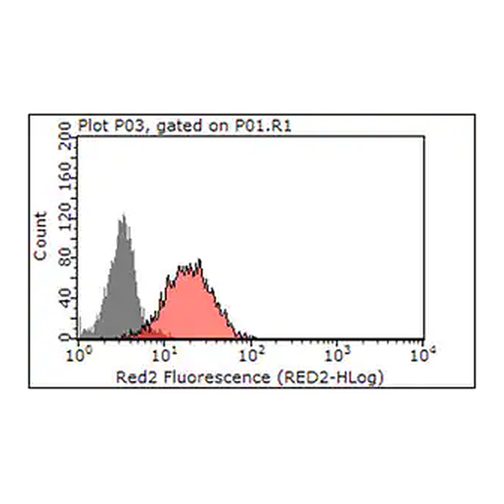 Merck Anti-Beclin-1 Antibody, clone 9A1.1