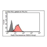 Merck Anti-Beclin-1 Antibody, clone 9A1.1