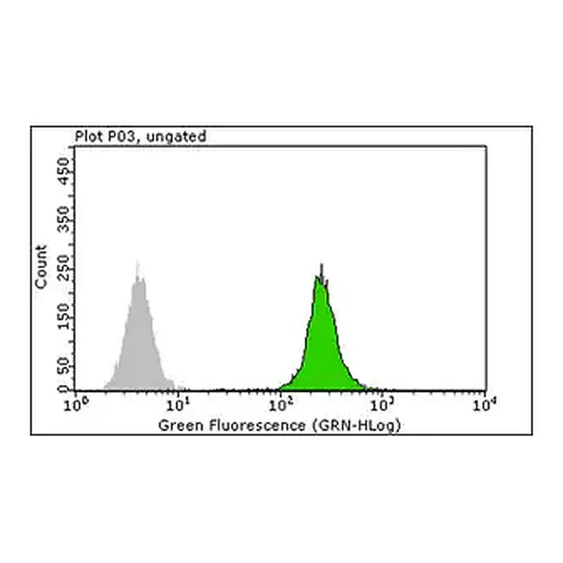 Merck Anti-RPA2 p34 Antibody, clone RPA20 1-46