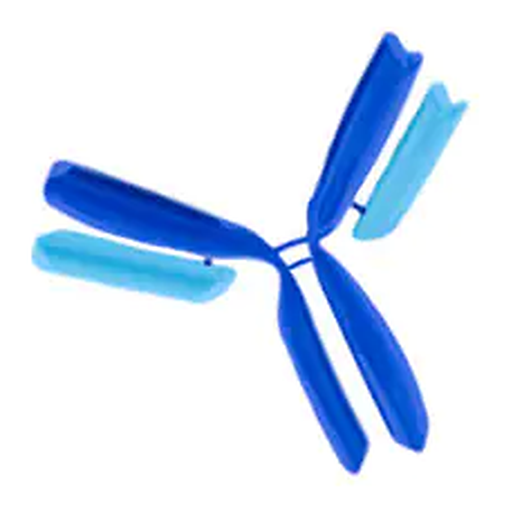 Merck Anti-Dicer1 Antibody, clone 5D12.2
