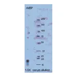 Merck Anti-Myelin Basic protein Antibody