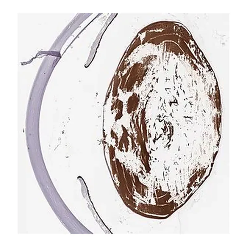 Merck Anti-CRYBA2 antibody produced in rabbit