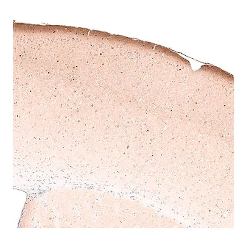 Merck Monoclonal Anti-RELN antibody produced in mouse