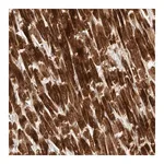 Merck Anti-KIF1C antibody produced in rabbit