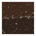 Merck Anti-ZSWIM5 antibody produced in rabbit