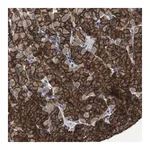 Merck Anti-DENND4C antibody produced in rabbit