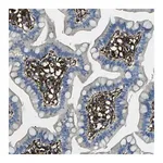 Merck Anti-GRAMD1C antibody produced in rabbit