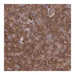 Merck Anti-EIF4ENIF1 antibody produced in rabbit