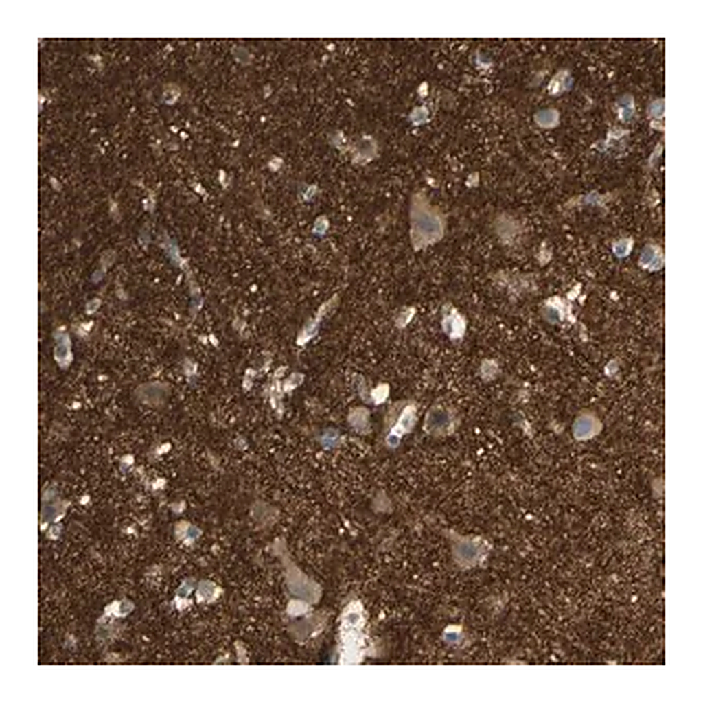 Merck Anti-ICAM5 antibody produced in rabbit