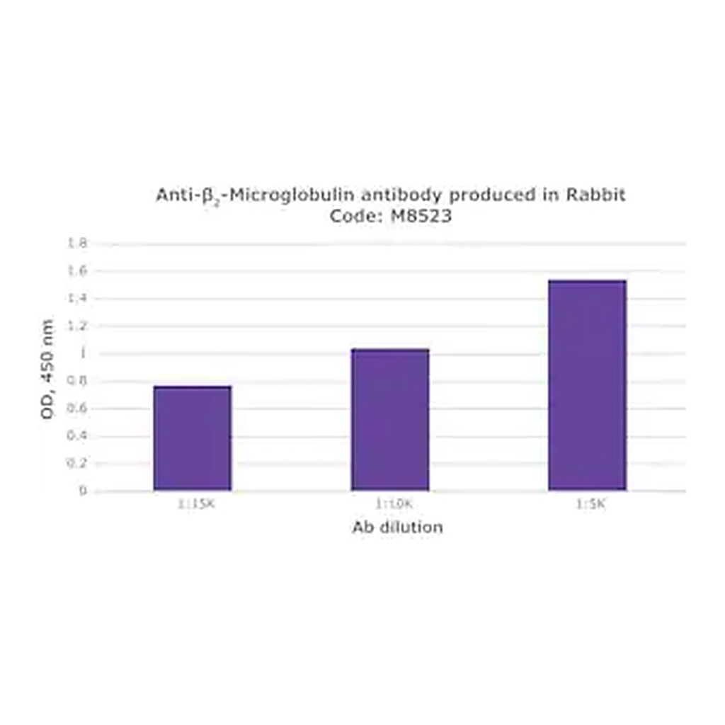 Merck Anti-β2-Microglobulin antibody produced in rabbit