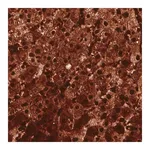 Merck Monoclonal Anti-ARG1 antibody produced in mouse