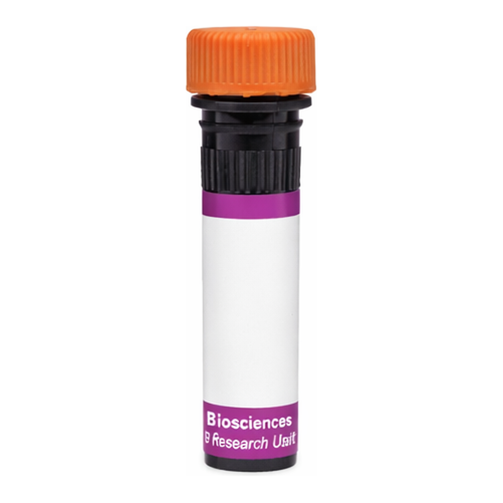 BD BV605 Mouse Anti-Human BLTR-1 (Leukotriene B4 Receptor)