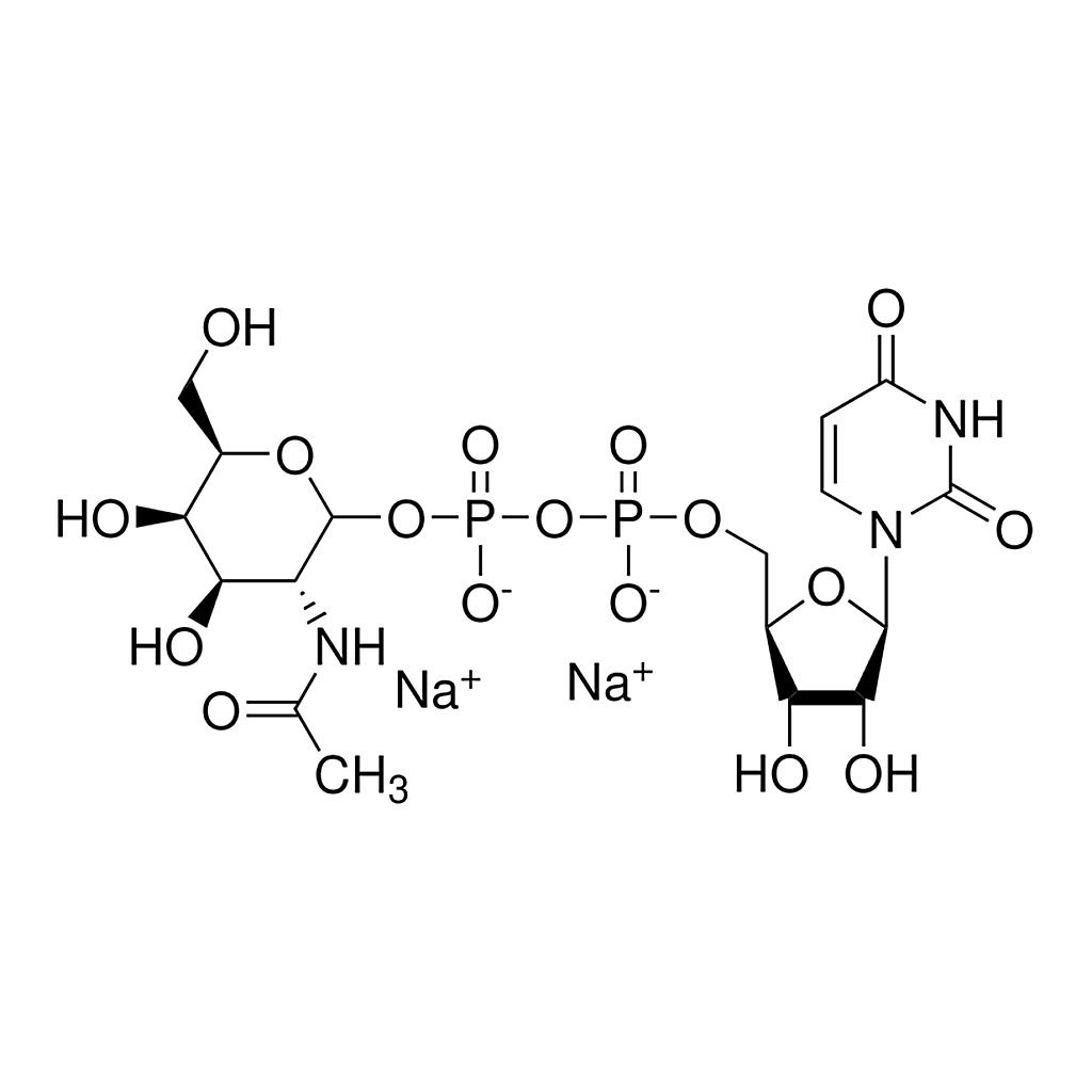 Merck Uridine 5'-diphospho-N-acetylgalactosamine disodium salt