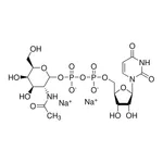 Merck Uridine 5'-diphospho-N-acetylgalactosamine disodium salt