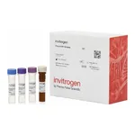 Thermo Fisher Scientific IL-6RA Human ProcartaPlex Simplex Kit