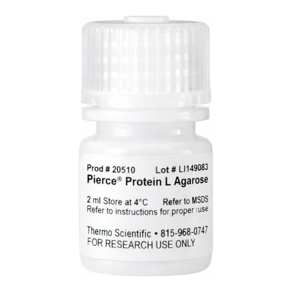 Thermo Fisher Scientific Pierce Protein L Agarose, 2 mL