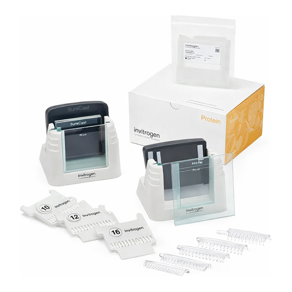 Thermo Fisher Scientific SureCast Gel Handcast Bundle B - Hardware Only