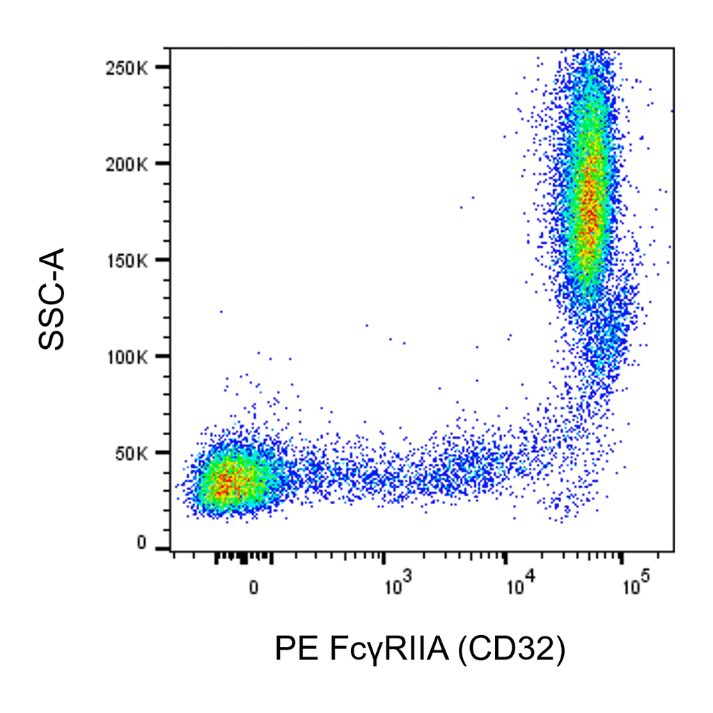 BD PE Mouse Anti-Human FcγRIIA (CD32)