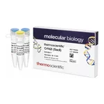 Thermo Fisher Scientific Cfr42I (SacII) (10 U/μL), 1200 units