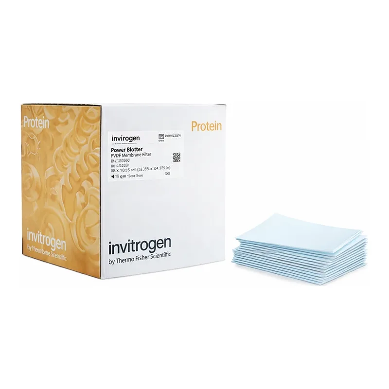 Thermo Fisher Scientific Power Blotter Pre-cut Membranes and Filters, PVDF mini, 20 stacks