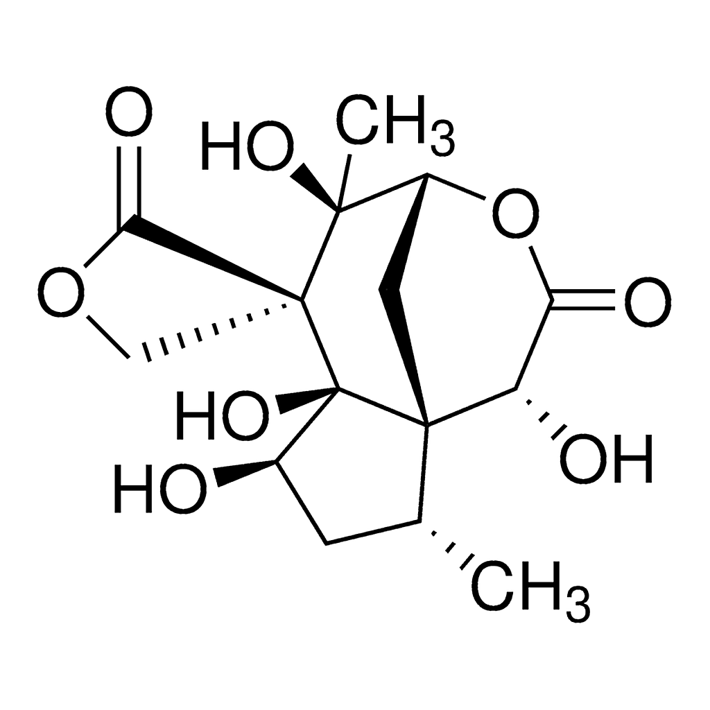 Merck Anisatin