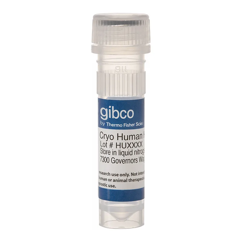 Thermo Fisher Scientific HEP10, Pooled Human Cryopreserved Hepatocytes