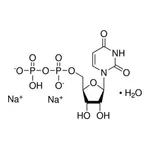 Merck URIDINE 5``-DIPHOSPHATE DISODIUM S&