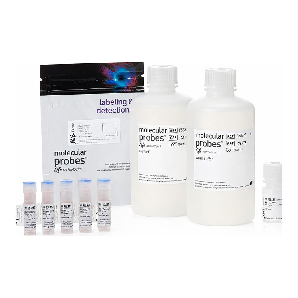 Thermo Fisher Scientific pHrodo Green S. aureus BioParticles Phagocytosis Kit for Flow Cytometry