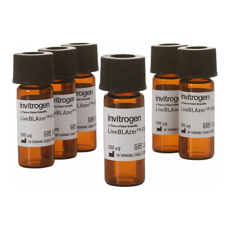Thermo Fisher Scientific LiveBLAzer FRET-B/G Loading Kit with CCF4-AM, 5 mg