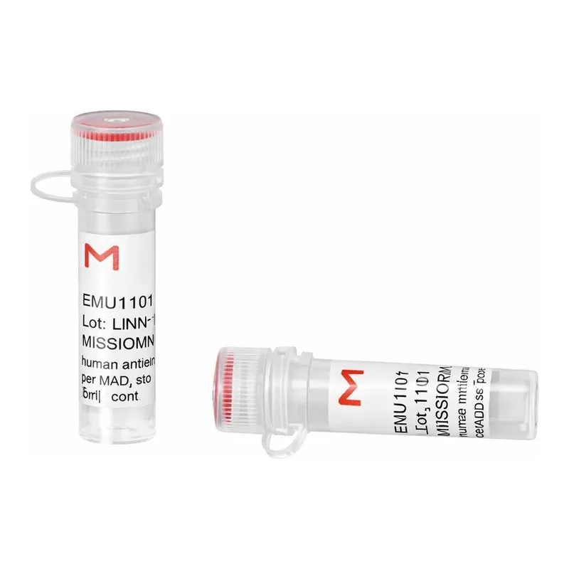 Merck ESIRNA HUMAN DUSP3
