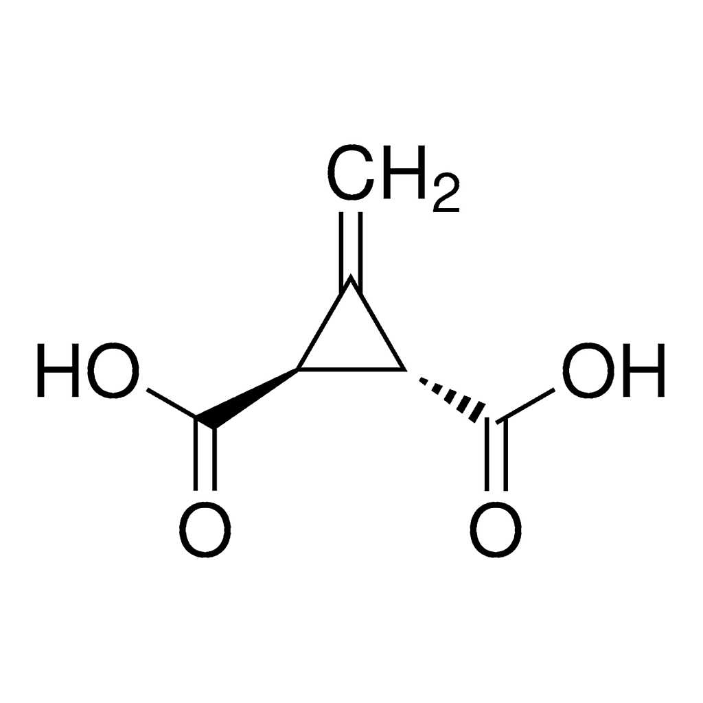 Merck 3-METHYLENE-1,2-CYCLOPROPANEDICA-